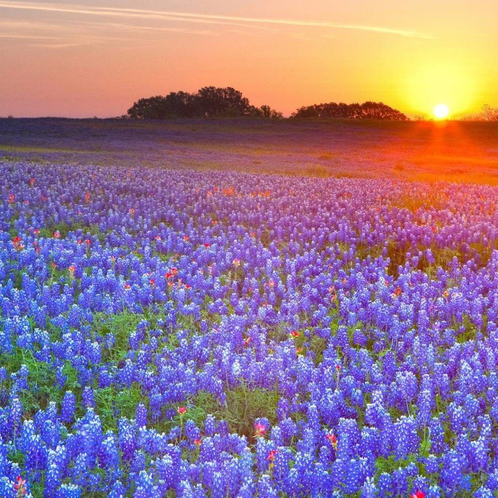 Meet your Posher, Liz